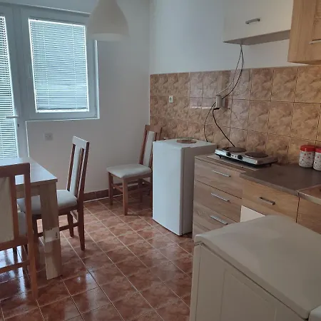 Banjica 1 Apartment Soko Banja