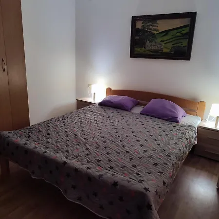 Apartment Banjica 1 Soko Banja